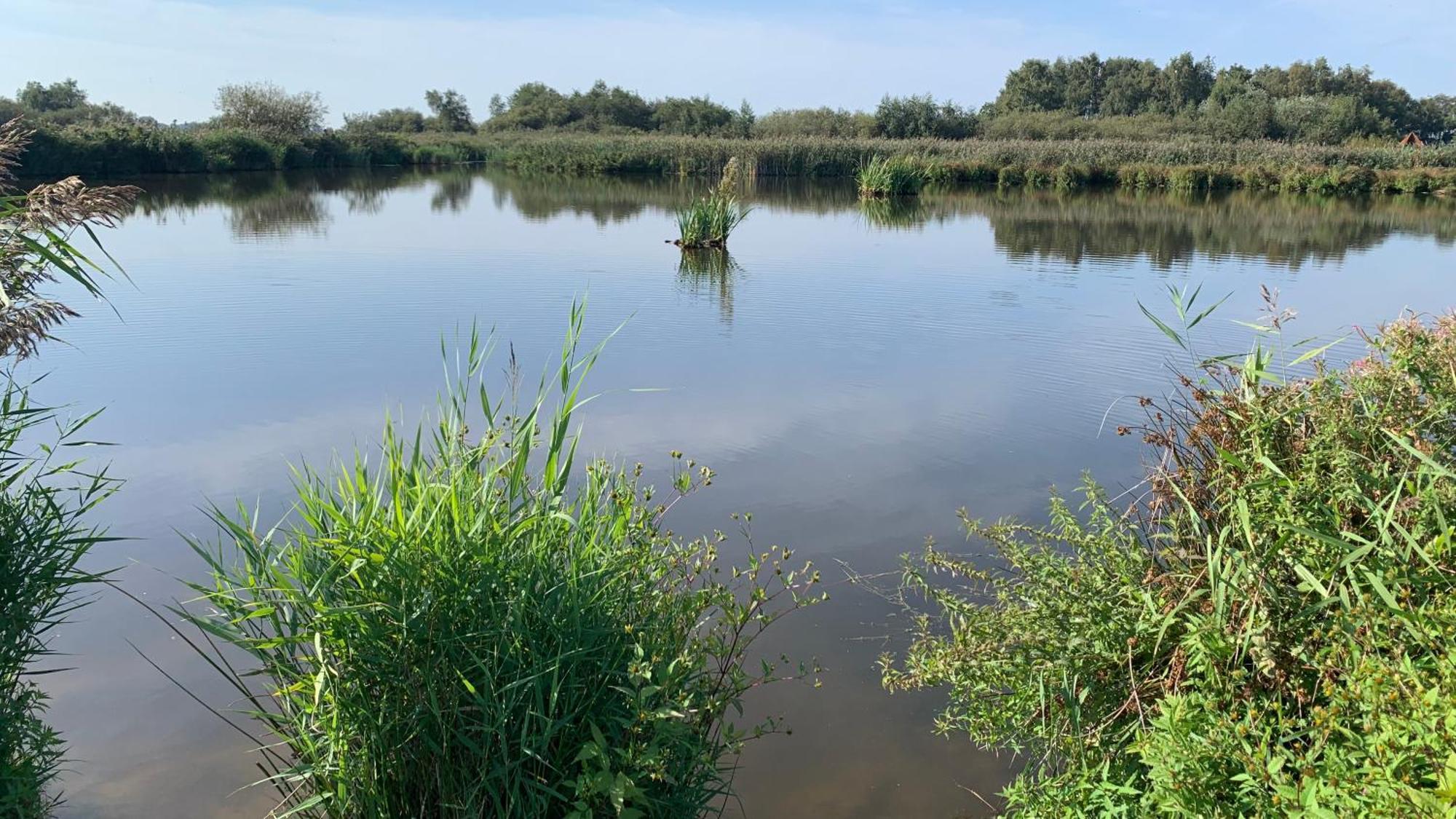 'T Paviljoenhus Bij Sneekermeer Offingawier Luaran gambar